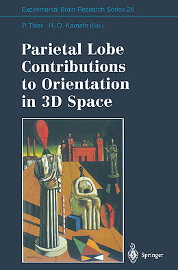 Kartonierter Einband Parietal Lobe Contributions to Orientation in 3D Space von 