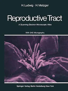 E-Book (pdf) The Human Female Reproductive Tract von H. Ludwig, H. Metzger