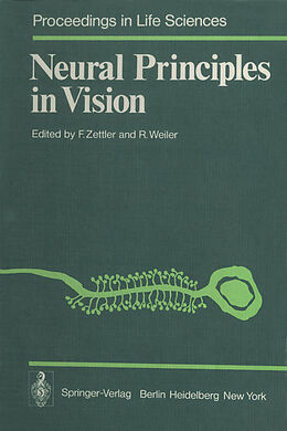 eBook (pdf) Neural Principles in Vision de 