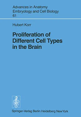 E-Book (pdf) Proliferation of Different Cell Types in the Brain von H. Korr