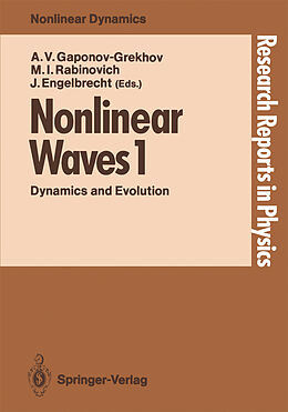eBook (pdf) Nonlinear Waves 1 de 