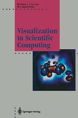 Kartonierter Einband Visualization in Scientific Computing von 