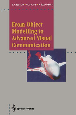Kartonierter Einband From Object Modelling to Advanced Visual Communication von 