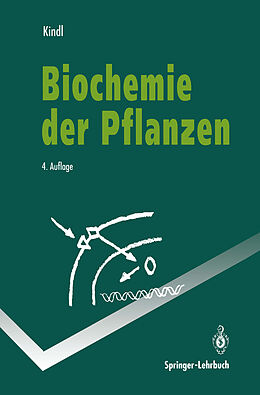 Kartonierter Einband Biochemie der Pflanzen von Helmut Kindl