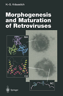 Kartonierter Einband Morphogenesis and Maturation of Retroviruses von 