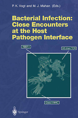 Kartonierter Einband Bacterial Infection: Close Encounters at the Host Pathogen Interface von 