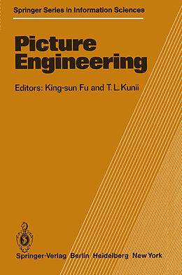 eBook (pdf) Picture Engineering de 