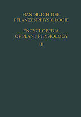 E-Book (pdf) Pflanze und Wasser / Water Relations of Plants von 