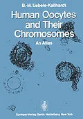 E-Book (pdf) Human Oocytes and Their Chromosomes von B. -M. Uebele-Kallhardt