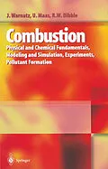 E-Book (pdf) Combustion von Jürgen Warnatz, Ulrich Maas, Robert W. Dibble