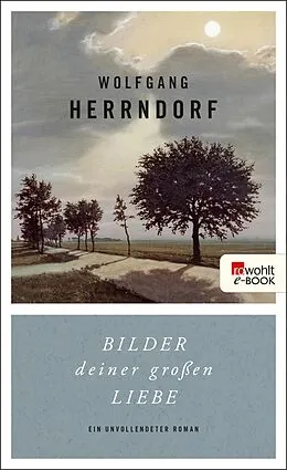 E-Book (epub) Bilder deiner großen Liebe von Wolfgang Herrndorf