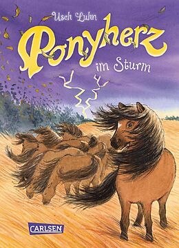 E-Book (epub) Ponyherz 14: Ponyherz im Sturm von Usch Luhn