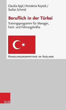 E-Book (pdf) Beruflich in der Türkei von Claudia Appl, Annalena Koytek, Stefan Schmid
