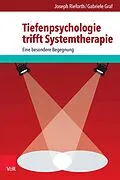 E-Book (epub) Tiefenpsychologie trifft Systemtherapie von Joseph Rieforth, Gabriele Graf