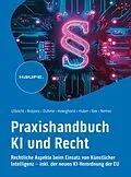 E-Book (pdf) Praxishandbuch KI und Recht von Carsten Ulbricht, Danilo Brajovic, Torsten Duhme