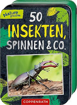 Fester Einband 50 Insekten, Spinnen &amp; Co. von Holger Haag