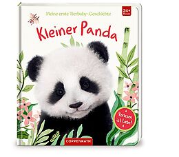 Pappband, unzerreissbar Meine erste Tierbaby-Geschichte: Kleiner Panda von Amanda Wood