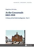 E-Book (pdf) At the Crossroads: 1865-1918 von Magdalena Micinska