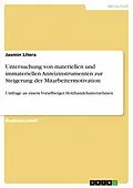 E-Book (epub) Untersuchung von materiellen und immateriellen Anreizinstrumenten zur Steigerung der Mitarbeitermotivation von Jasmin Litera