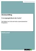E-Book (pdf) Unvergänglichkeit der Seele? von Christian Kißling