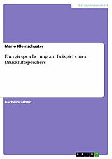 E-Book (pdf) Energiespeicherung - am Beispiel eines Druckluftspeichers von Mario Kleinschuster