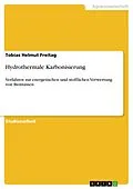 E-Book (pdf) Hydrothermale Karbonisierung von Tobias Helmut Freitag