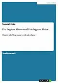 E-Book (epub) Privilegium Minus und Privilegium Maius von Saskia Fricke
