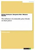 E-Book (epub) The influence of commodity price shocks on share prices von Philipp Heilmann, Benjamin Ihbe, Melanie Marziw