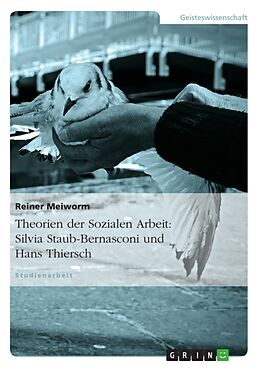 Kartonierter Einband Theorien der Sozialen Arbeit: Silvia Staub-Bernasconi und Hans Thiersch von Reiner Meiworm