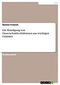 E-Book (pdf) Die Kündigung von Dauerschuldverhältnissen aus wichtigen Gründen von Dennis Froesch