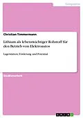 E-Book (pdf) Lithium als lebenswichtiger Rohstoff für den Betrieb von Elektroautos von Christian Timmermann