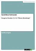 E-Book (epub) Exegese Exodus 3,1-14 "Moses Berufung" von Sarah Maria Fuhrmanski