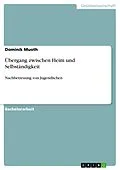E-Book (pdf) Übergang zwischen Heim und Selbständigkeit von Dominik Muoth