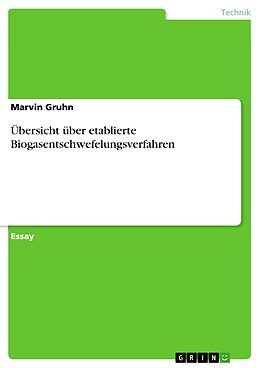 E-Book (pdf) Übersicht über etablierte Biogasentschwefelungsverfahren von Marvin Gruhn