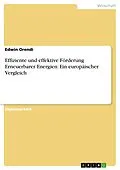 E-Book (pdf) Effiziente und effektive Förderung Erneuerbarer Energien: Ein europäischer Vergleich von Edwin Orendi