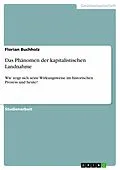 E-Book (pdf) Das Phänomen der kapitalistischen Landnahme von Florian Buchholz