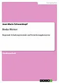 E-Book (epub) Risiko Wetter von Jean-Marie Schwarzkopf