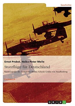 Kartonierter Einband Sturzflüge für Deutschland von Heiko Peter Melle, Ernst Probst