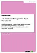 E-Book (pdf) Außertropische Naturgefahren durch Windaktivität von Martin Steger