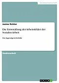 E-Book (epub) Die Entwicklung der Arbeitsfelder der Sozialen Arbeit von Janine Richter