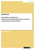E-Book (pdf) Liquiditätscontrolling als überlebenswichtige Maßnahme in kleinen und mittleren Unternehmen von Dominik Hel