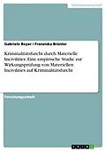 E-Book (pdf) Kriminalitätsfurcht durch Materielle Incivilities: Eine empirische Studie zur Wirkungsprüfung von Materiellen Incivilities auf Kriminalitätsfurcht von Gabriele Beyer, Franziska Brünler