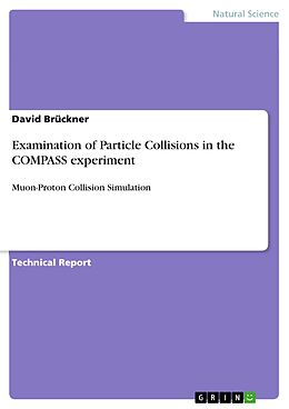 eBook (pdf) Examination of Particle Collisions in the COMPASS experiment de David Brückner