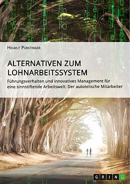 E-Book (pdf) Alternativen zum Lohnarbeitssystem. Führungsverhalten und innovatives Management für eine sinnstiftende Arbeitswelt von Helmut Pürstinger