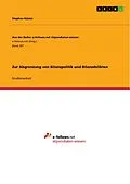 E-Book (pdf) Zur Abgrenzung von Bilanzpolitik und Bilanzdelikten von Stephan Küster