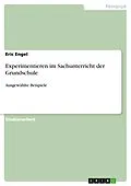 E-Book (epub) Experimentieren im Sachunterricht der Grundschule von Eric Engel