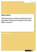 E-Book (pdf) The Importance of Small- and Medium-sized Enterprises in Russia in relation to the other BRIC countries von Mario Schuler