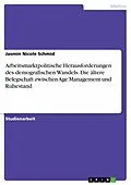 E-Book (pdf) Arbeitsmarktpolitische Herausforderungen des demografischen Wandels. Die ältere Belegschaft zwischen Age Management und Ruhestand von Jasmin Nicole Schmid