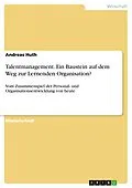 E-Book (pdf) Talentmanagement. Ein Baustein auf dem Weg zur Lernenden Organisation? von Andreas Huth
