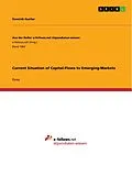 E-Book (epub) Current Situation of Capital-Flows to Emerging-Markets von Dominik Hueller
